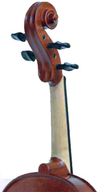 aw-head.jpg
